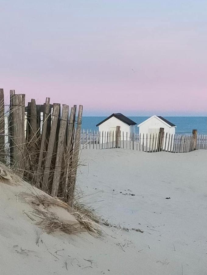 Appartamento Le Presbytère Des Baraques à Blériot-plage - 3 *